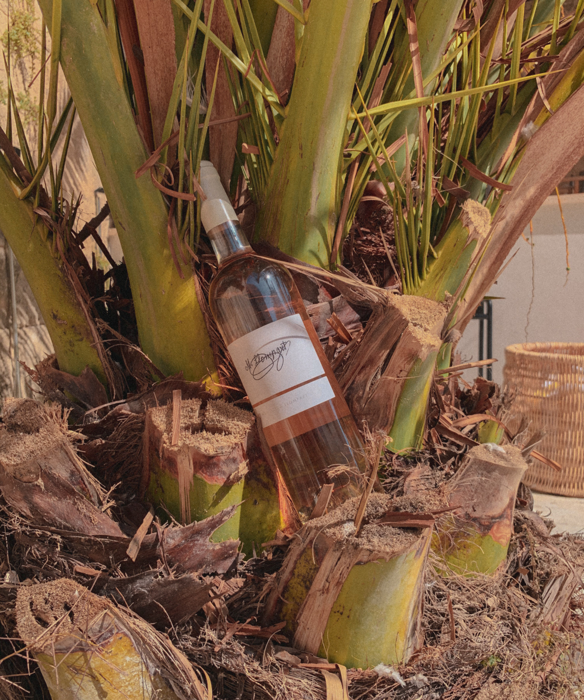 bottle of rose in a plant