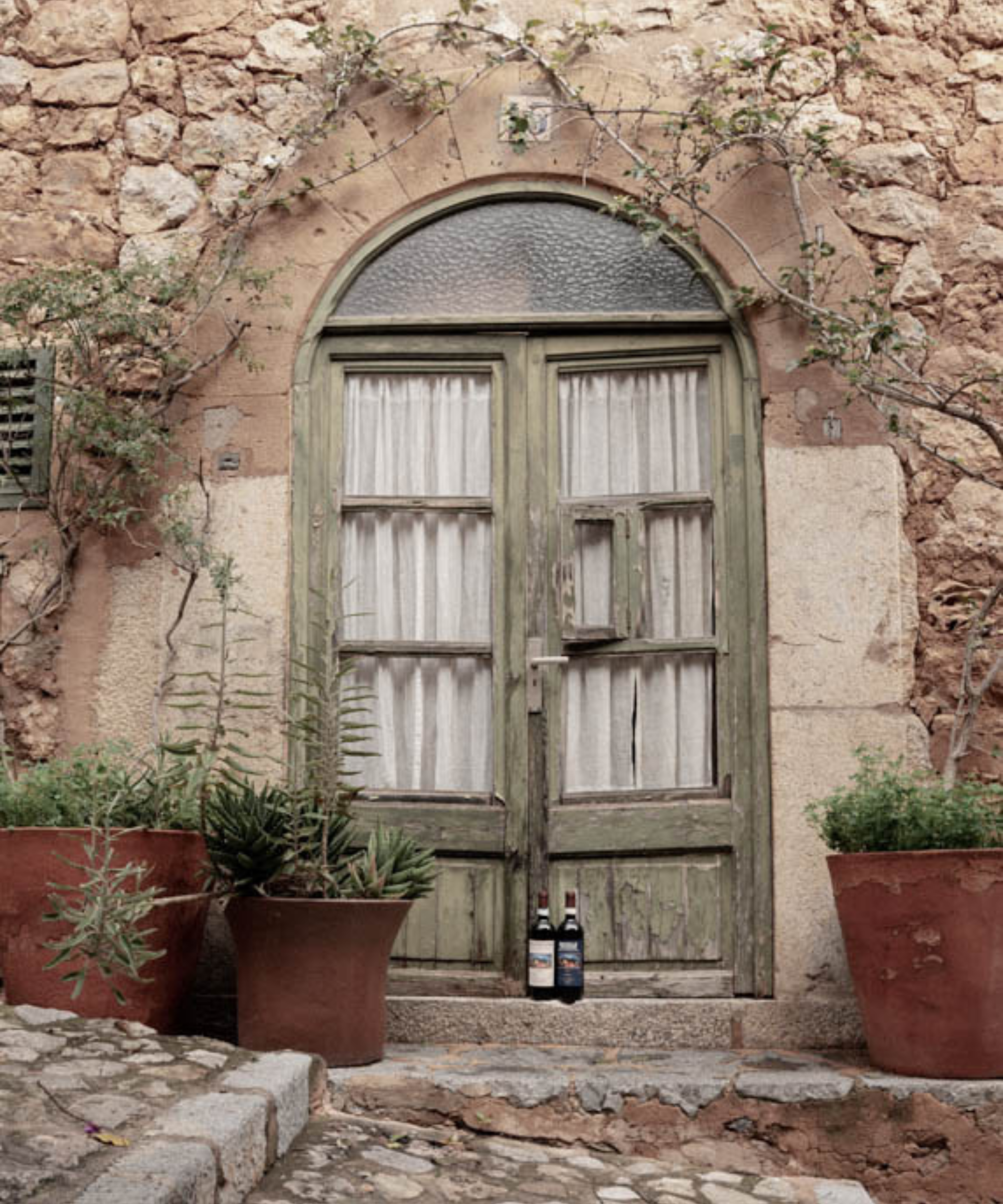 Wooden door with wines in front in the island of Mallorca