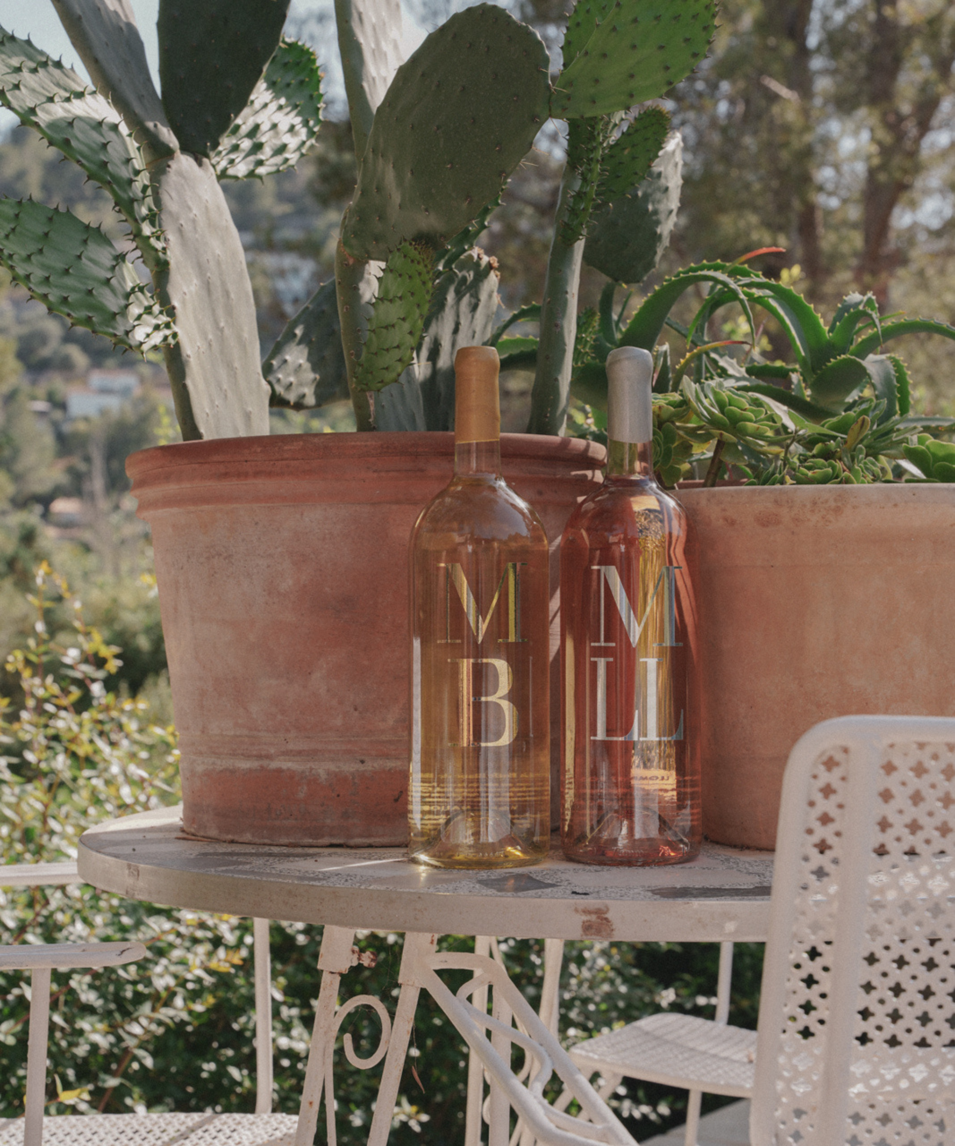 two magnum bottles, white and rose wine